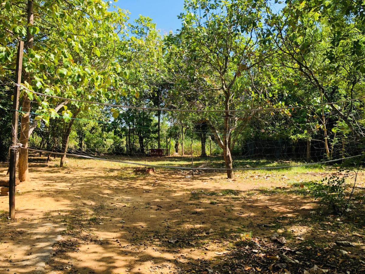 Dambulla City Hostel Exterior foto